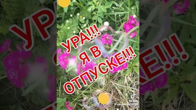 Ура! Я в отпуске!!! Ура! Я в отпуске!!!