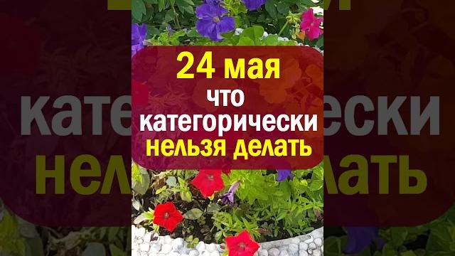 24 мая народный праздник день Мокий мокрый, Мефодия и Кирилла. Что нельзя делать. Народные традиции 24 мая народный праздник день Мокий мокрый, Мефодия и Кирилла. Что нельзя делать. Народные традиции