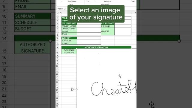 Signature in Excel‼️ #excel Signature in Excel‼️ #excel