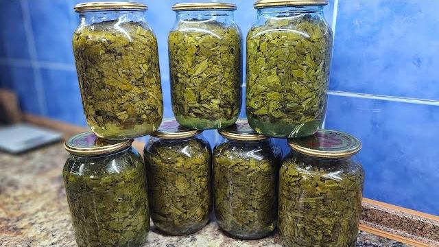 Консервированный щавель на зиму, самый простой рецепт Консервированный щавель на зиму, самый простой рецепт
