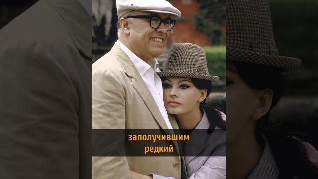 СОФИ ЛОРЕН И КАРЛО ПОНТИ #shorts #karloponti СОФИ ЛОРЕН И КАРЛО ПОНТИ #shorts #karloponti