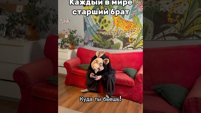 Старшие братья, вы зачем такие? Старшие братья, вы зачем такие?