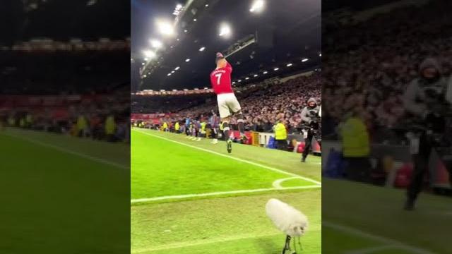 The entire stadium bouncing SIUUU with C.Ronaldo's 800th GOAL #shorts #CR7 #C.Ronaldo #Siu #ronaldo The entire stadium bouncing SIUUU with C.Ronaldo's 800th GOAL #shorts #CR7 #C.Ronaldo #Siu #ronaldo