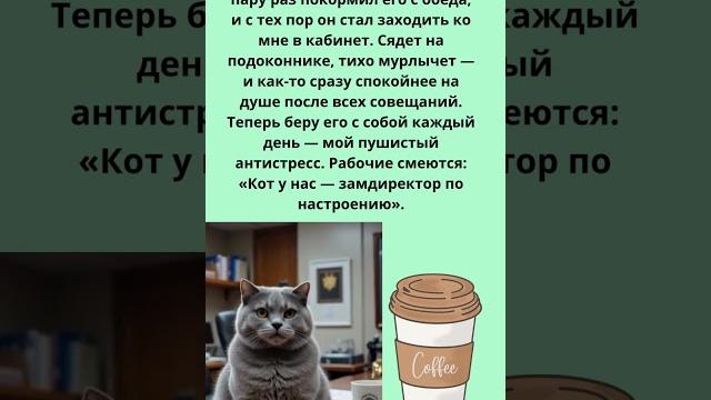 Душевная история. Начальник по настроению Душевная история. Начальник по настроению