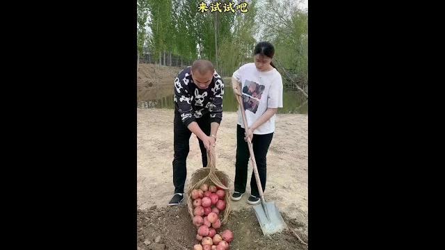 It is said that fruits can be kept fresh in this way. Come and try it! #shortplay#shortfilm#rural#f It is said that fruits can be kept fresh in this way. Come and try it! #shortplay#shortfilm#rural#f