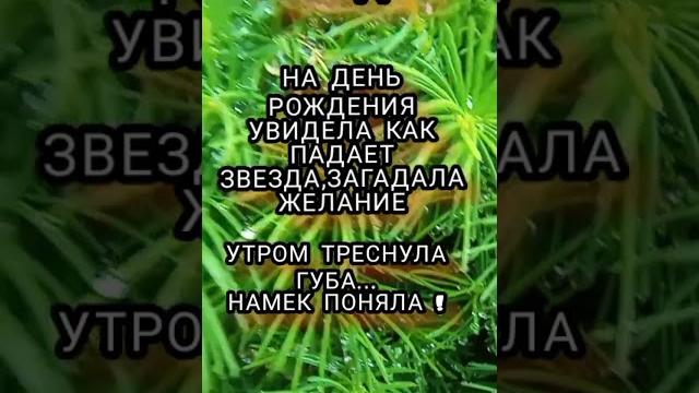 анекдот про желание и звезду, смешные анекдоты #132, анекдот шутки юмор приколы лучшие анекдоты юмор анекдот про желание и звезду, смешные анекдоты #132, анекдот шутки юмор приколы лучшие анекдоты юмор