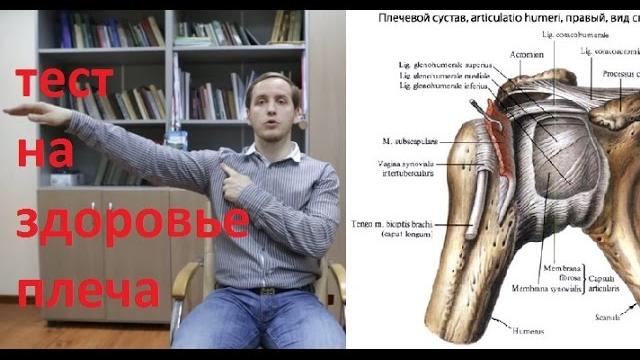 Проведи онлайн тест плеча - узнай, что болит Проведи онлайн тест плеча - узнай, что болит