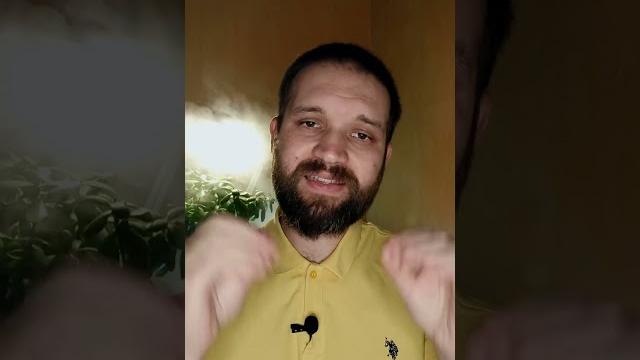 Реал Сосьедад Мальорка прогноз Реал Сосьедад Мальорка прогноз