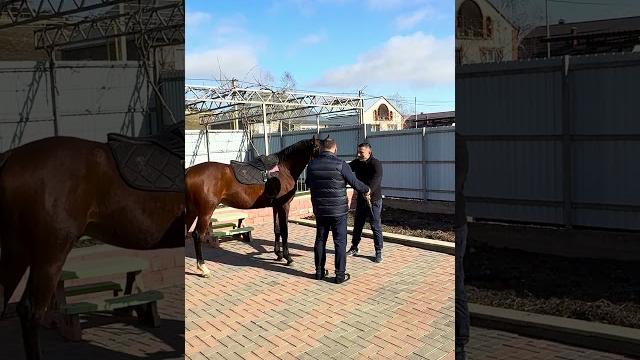 Приготовим бешбармак #еда #мясо #рецепты Приготовим бешбармак #еда #мясо #рецепты