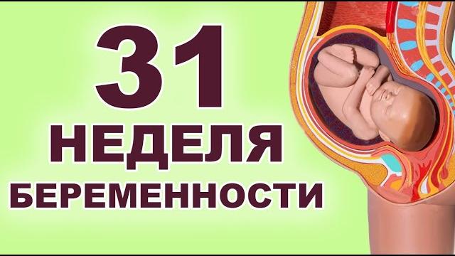 Что происходит с ребенком и мамой на 31 неделе беременности? 7 месяц беременности. Третий триместр. Что происходит с ребенком и мамой на 31 неделе беременности? 7 месяц беременности. Третий триместр.