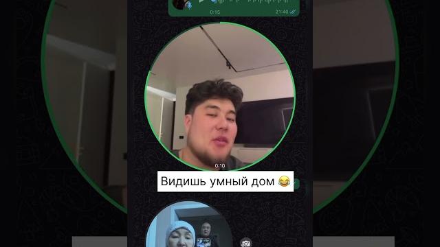 У каждого есть умный муж дома ️ #gragon #funny #драгон У каждого есть умный муж дома ️ #gragon #funny #драгон