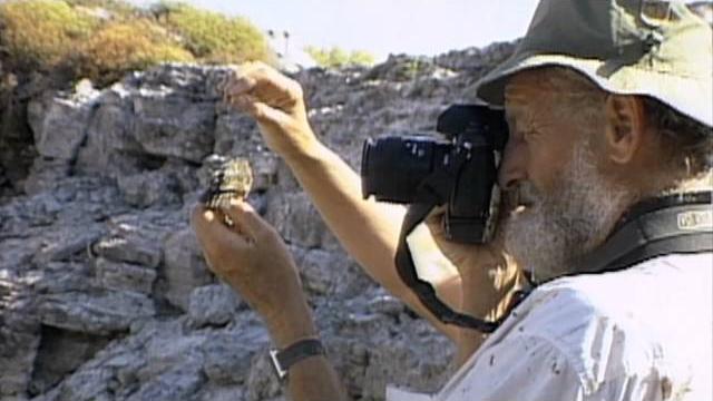 Galapagos Finch Evolution — HHMI BioInteractive Video Galapagos Finch Evolution — HHMI BioInteractive Video
