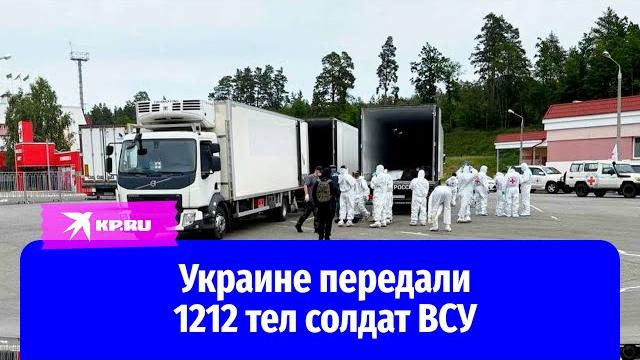 Россия и Украина начали передачу тел погибших солдат Россия и Украина начали передачу тел погибших солдат
