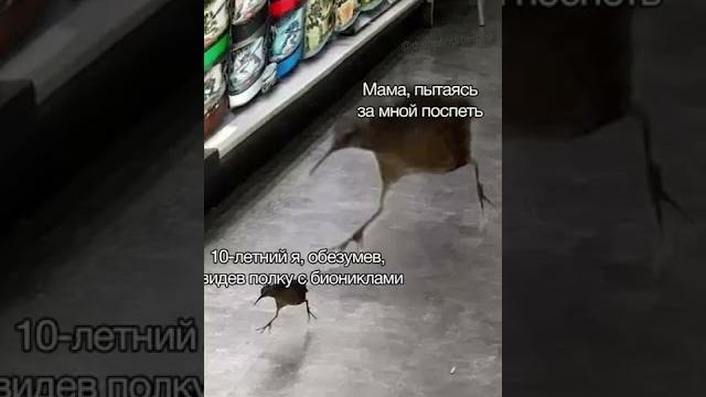 Лютые приколы и мемы #приколы #лютыеприколы #мемы2021 #юмор #озвучка Лютые приколы и мемы #приколы #лютыеприколы #мемы2021 #юмор #озвучка