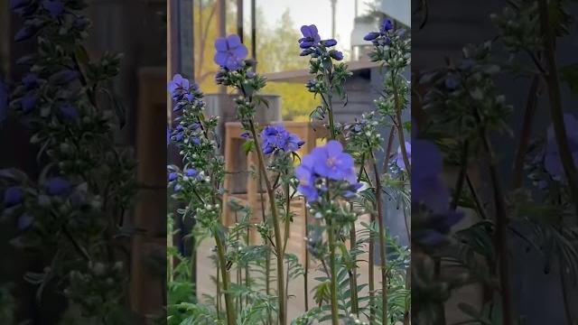 Новое видео на канале «Maria Kordubaeva» Новое видео на канале «Maria Kordubaeva»