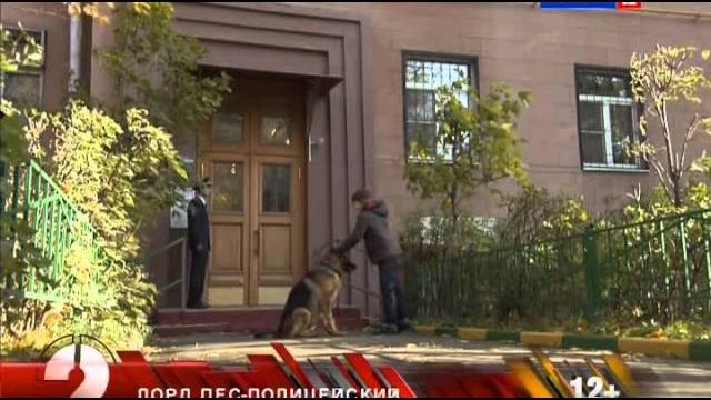 Лорд. Пёс-полицейский: сезон 1, серия 8 Лорд. Пёс-полицейский: сезон 1, серия 8