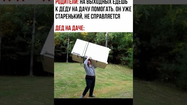 Мемы беру из ТГ Мемы Юмор Гифки Мемы беру из ТГ Мемы Юмор Гифки