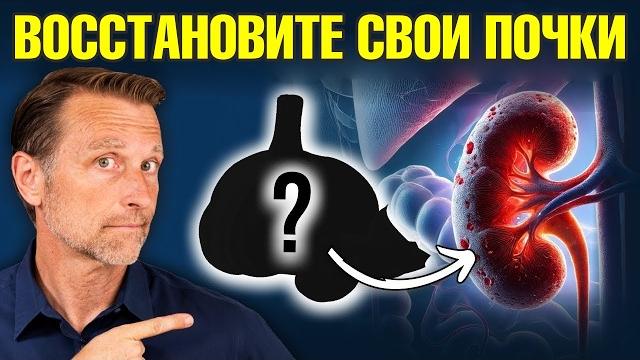 7 САМЫХ полезных продуктов для здоровья ваших почек! 7 САМЫХ полезных продуктов для здоровья ваших почек!