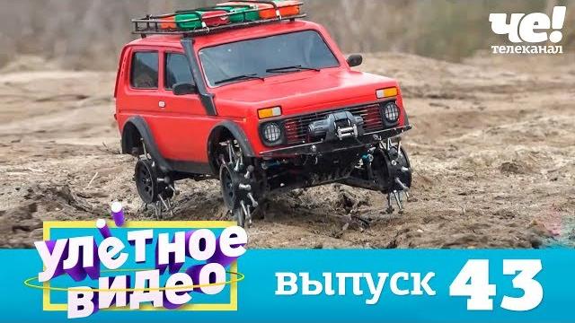 Улетное видео | Выпуск 43 Улетное видео | Выпуск 43