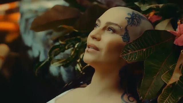 ТЫ - МОЯ НЕЖНОСТЬ ТЫ - МОЯ НЕЖНОСТЬ
