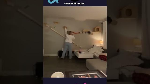 НОВЫЕ ПРИКОЛЫ с котами 2025 Смешные коты, Смешные видео #shorts #смешныекоты #смешныеживотные НОВЫЕ ПРИКОЛЫ с котами 2025 Смешные коты, Смешные видео #shorts #смешныекоты #смешныеживотные