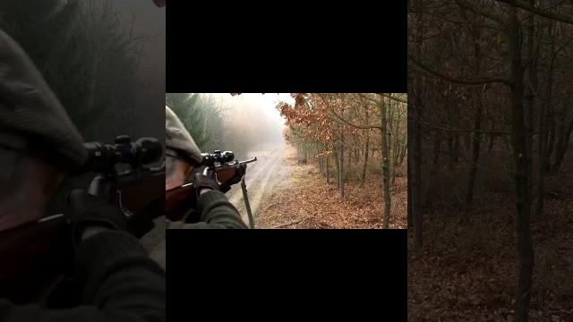 Охота на кабана в пакистанском стиле - точные выстрелы" #ОхотаНаКабана#РусскаяОхота#Кабан#Охота Охота на кабана в пакистанском стиле - точные выстрелы" #ОхотаНаКабана#РусскаяОхота#Кабан#Охота