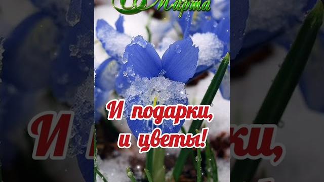 С 8 марта. Красивое поздравление с 8 марта. С 8 марта. Красивое поздравление с 8 марта.
