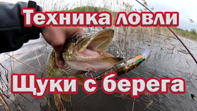 Техника Ловли Щуки на спиннинг с берега. Спиннинг для начинающих. 100% Удачная Рыбалка на щуку!!! Техника Ловли Щуки на спиннинг с берега. Спиннинг для начинающих. 100% Удачная Рыбалка на щуку!!!