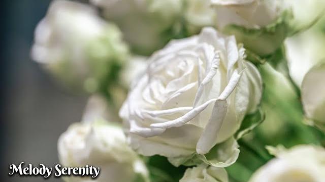Music for the soulYou can listen to this music foreverGreat music Sergey Grischuk #14 Music for the soulYou can listen to this music foreverGreat music Sergey Grischuk #14
