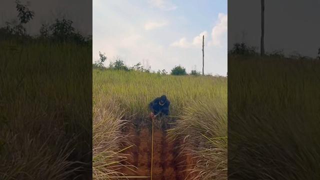 Bauxite #bauksit #geology #mining #sampit #kalteng #videoviral #fypシ #fyp #viral #shorts #viralvideo Bauxite #bauksit #geology #mining #sampit #kalteng #videoviral #fypシ #fyp #viral #shorts #viralvideo