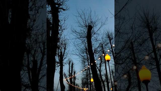 Владикавказ #views #travel #vlog #reels #russia #adventure #beautiful #vibes #city #youtube #video Владикавказ #views #travel #vlog #reels #russia #adventure #beautiful #vibes #city #youtube #video