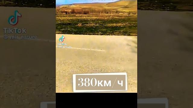 #новинка#тачки#прикол#юмор #новинка#тачки#прикол#юмор