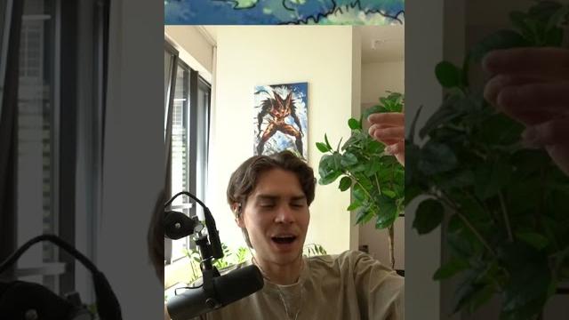 NIX ПРО MRBEAST NIX ПРО MRBEAST