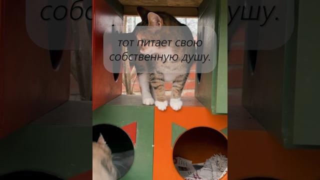 Цитата дня Цитата дня
