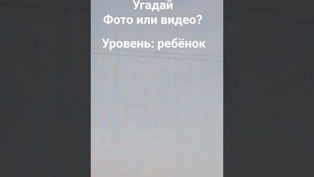 фото или видео фото или видео