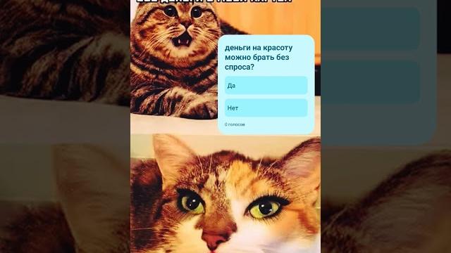 можно брать? почти анекдот, смешные картинки можно брать? почти анекдот, смешные картинки