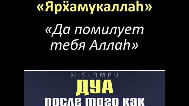 Дуа после того как чихнул Дуа после того как чихнул