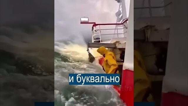 Адский шторм в Северном море: что видят моряки Адский шторм в Северном море: что видят моряки
