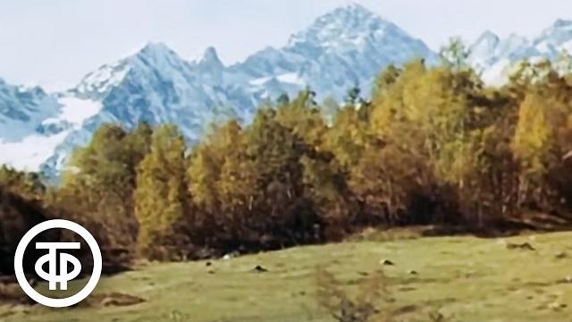 Домбай. Документальный видовой фильм (1982) Домбай. Документальный видовой фильм (1982)