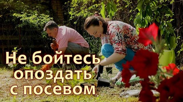 Второе пришествие весны: как не опоздать с посевом Второе пришествие весны: как не опоздать с посевом