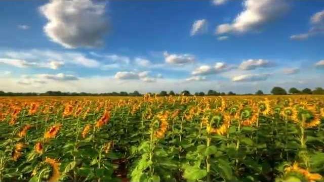 Природа России HD Природа России HD