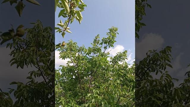 Природа⬛#природа #видео #мир #рекомендации Природа⬛#природа #видео #мир #рекомендации