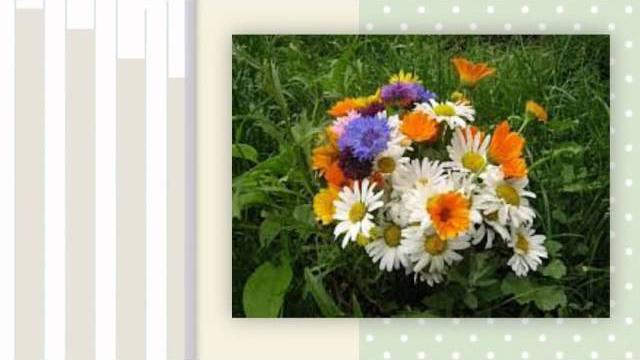 с днем рождения лена картинки с днем рождения лена картинки