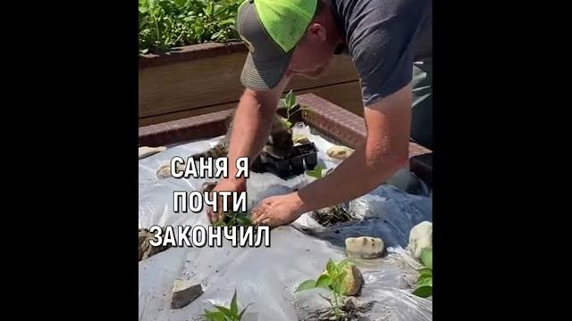 Енот и работа #shorts Енот и работа #shorts