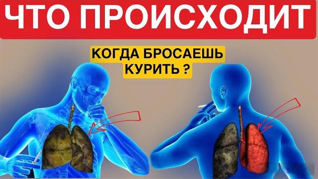Что Происходит, когда бросают курить? Что Происходит, когда бросают курить?