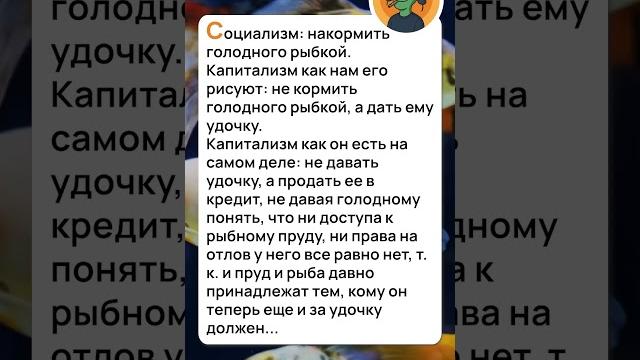 КАК ТО ТАК #анекдоты #юмор #прикол #иноперешеленец КАК ТО ТАК #анекдоты #юмор #прикол #иноперешеленец