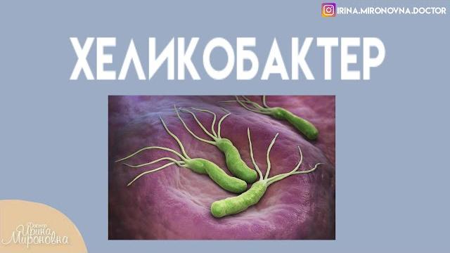 Хеликобактер Хеликобактер