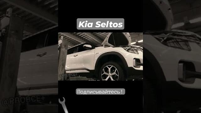 Киа Селтос - состояние днища автомобиля? Киа Селтос - состояние днища автомобиля?
