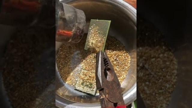 AMD Sempron Cpu processor .Removing pins For Gold Recovery . gold recovery from cpu Processors AMD Sempron Cpu processor .Removing pins For Gold Recovery . gold recovery from cpu Processors