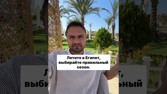 Когда лучше ехать в Египет? Когда лучше ехать в Египет?